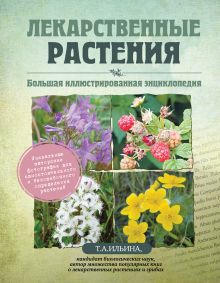 Лекарственные растения. Большая иллюстрированная энциклопедия