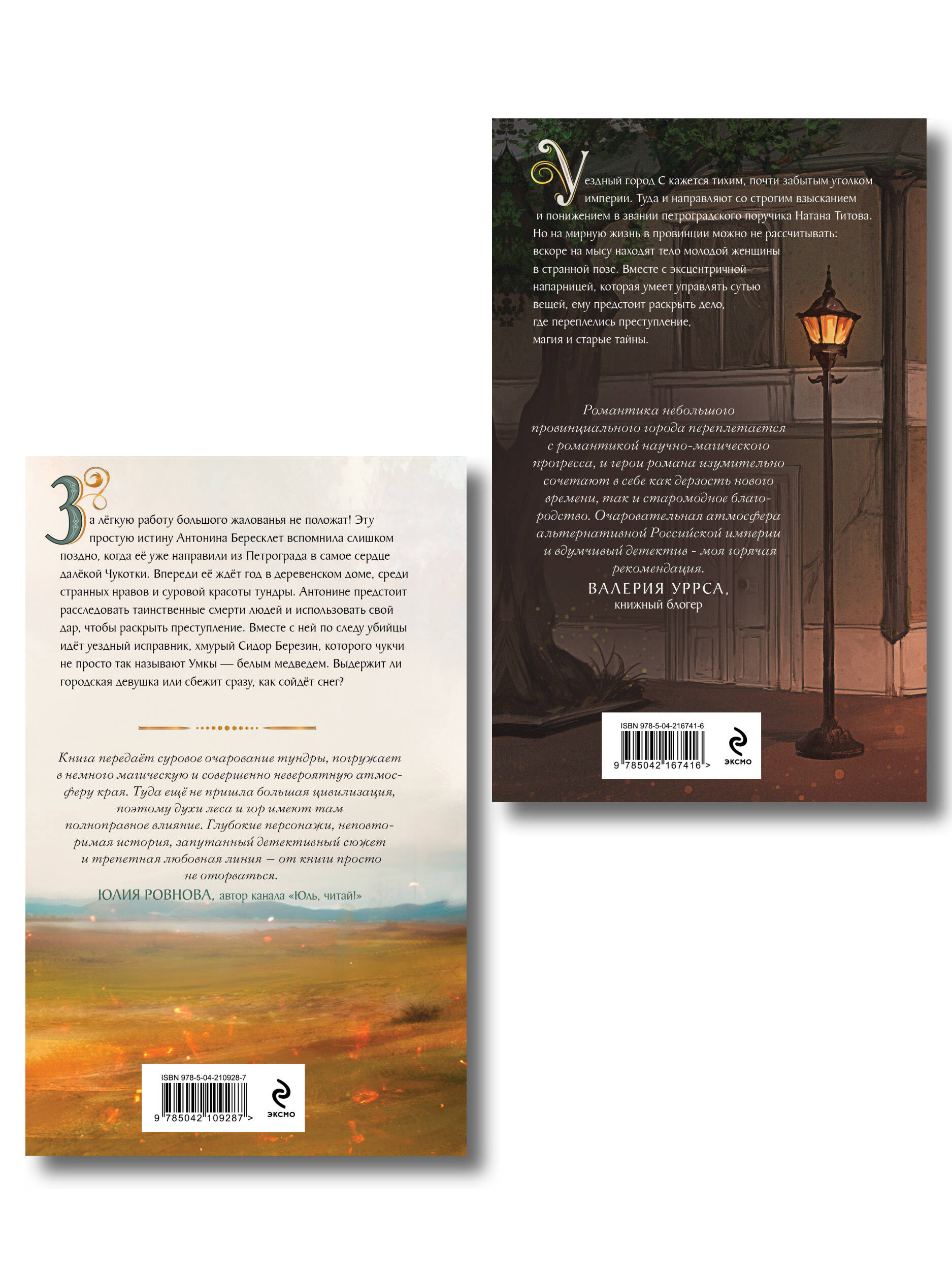 Комплект из 2-х книг. Медвежий край + Уездный город С