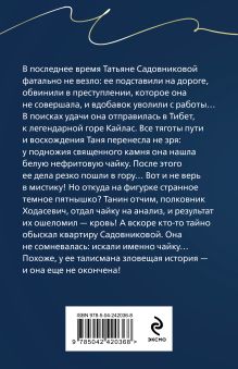 Обложка сзади Незримая связь Анна и Сергей Литвиновы