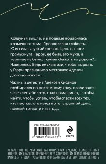 Обложка сзади Вторая путеводная звезда Татьяна Гармаш-Роффе