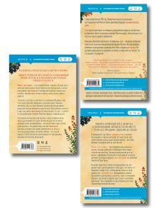 Обложка сзади Комплект из 3-х книг (Убийства и кексики. Убийства в пляжных домиках. Опасная игра бабули) Кристен Перрин, Питер Боланд