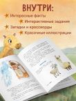 Загадки Земли. От тайны Бермудского треугольника до легенды о Лох-несском чудовище