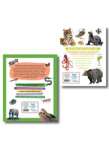 Обложка сзади Комплект из 2 книг. Энциклопедии о животных мира (ИК) 