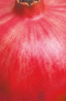 Обложка Блокнот с сочным гранатом (А5, мягкая обложка, 32 л.)