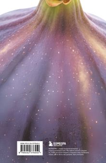 Обложка сзади Блокнот со спелым инжиром (А5, мягкая обложка, 32 л.)