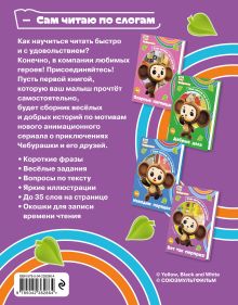 Обложка сзади Вот так сюрприз!