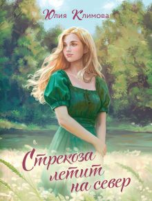 Обложка Стрекоза летит на север Юлия Климова