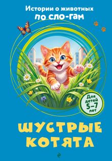 Шустрые котята