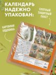 Птицы России: когда ждать, где искать, как отличать. Календарь настенный на 2027 год (300х300 мм)