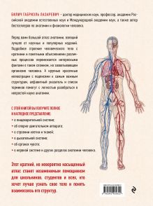 Обложка сзади Анатомия человека: большой популярный атлас (новое оформление) Билич Г.Л.