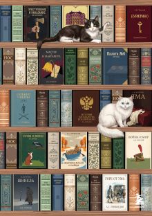 Обложка Блокнот. Книжный шкаф. (А5, твердая обложка, 64 л.) (у.н.)