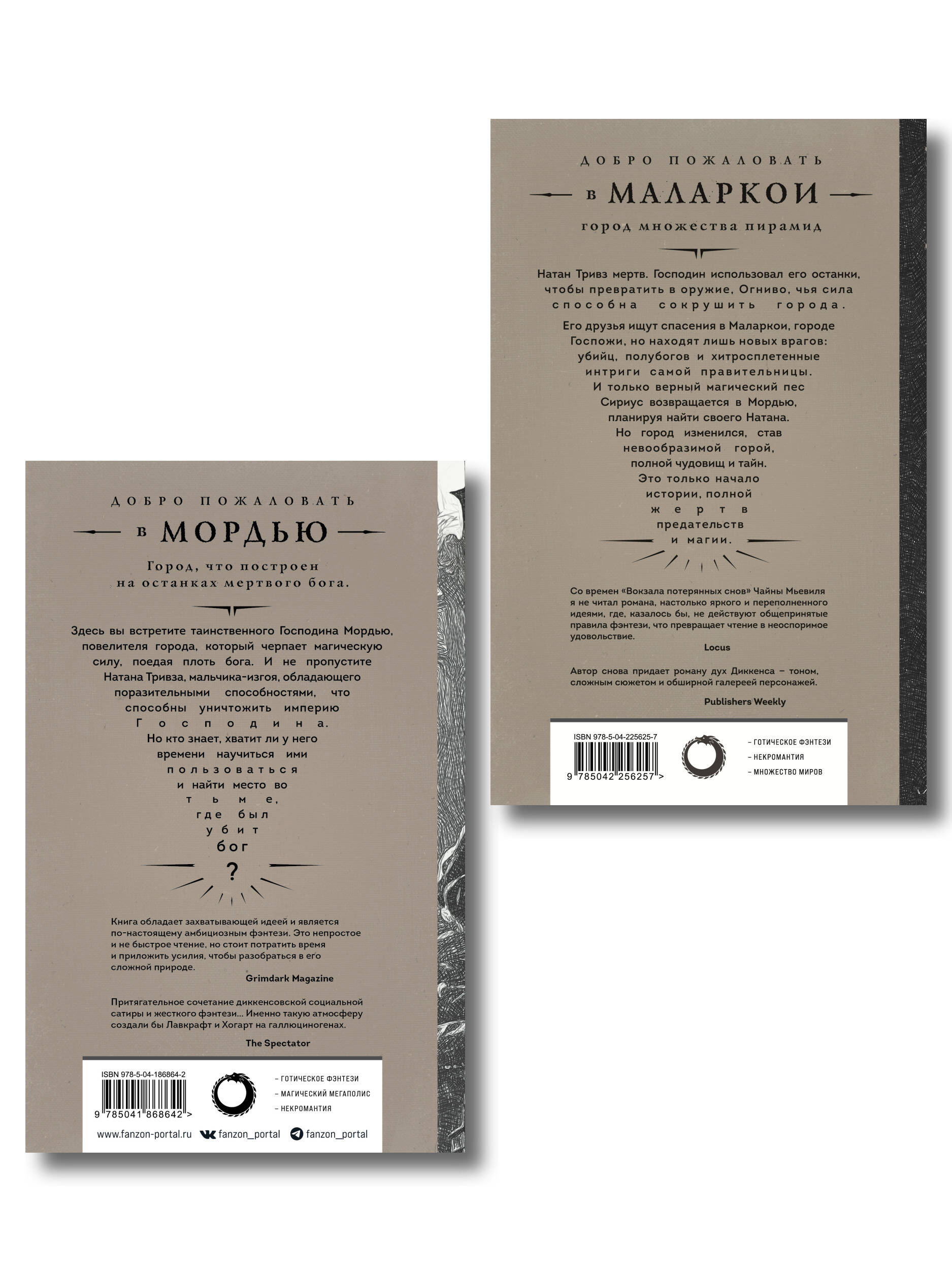 Комплект из 2-х книг (Город мертвого бога (Города холста #1) + Город Госпожи Забвения (Города холста #2))