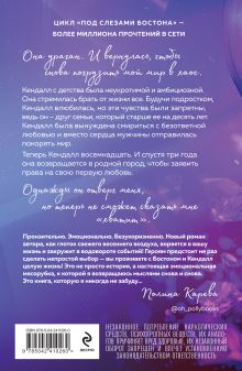 Обложка сзади В сердце Бостона. Демоны внутри нас Таша Мисник