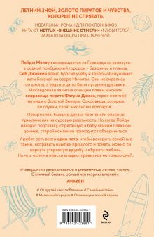 Обложка сзади Лето утерянных сокровищ Дженн Беннетт