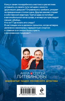 Обложка сзади Заговор небес Анна и Сергей Литвиновы