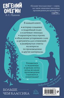 Обложка сзади Евгений Онегин А. С. Пушкин