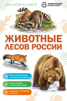 Животные лесов России