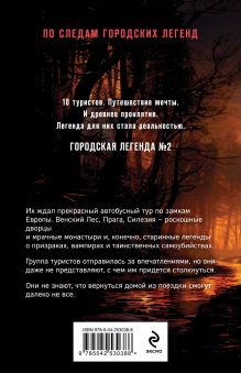 Обложка сзади Хозяин мрачного замка Анна Велес