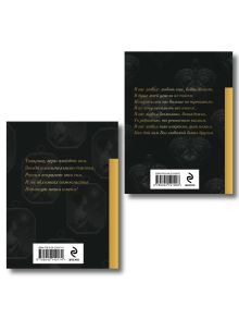 Обложка сзади Комплект Поэты свободы (из 2-х книг Пушкин и декабристы)