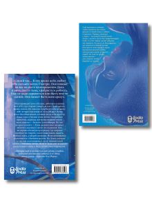 Обложка сзади Комплект Эш и Скай. Книга 1. Когда пепел падает с небес + Встретимся в синий час