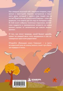 Обложка сзади Лимитированный комплект Смешарики (у.н.)