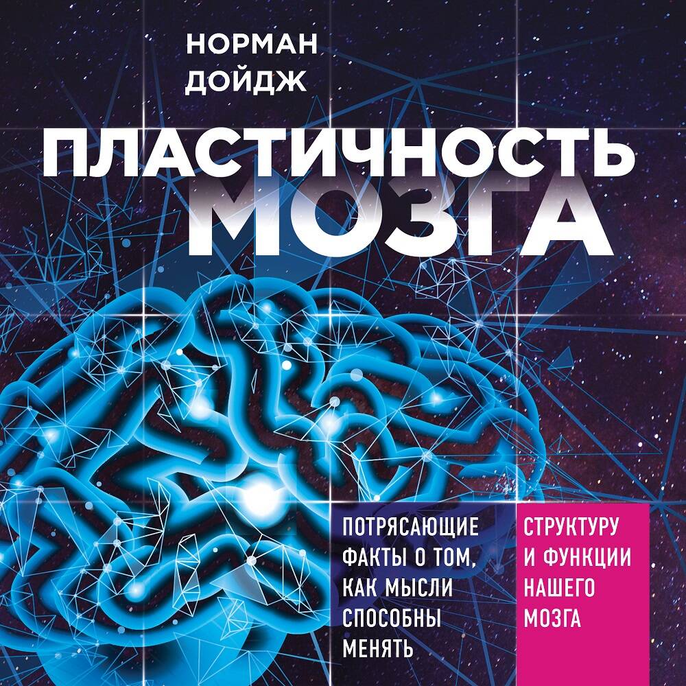 Пластичность мозга. Потрясающие факты о том, как мысли способны менять структуру и функции нашего мозга