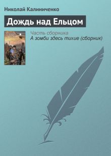 Обложка Дождь над Ельцом Николай Калиниченко