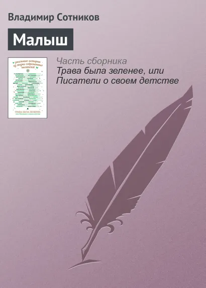 Обложка Малыш Владимир Сотников