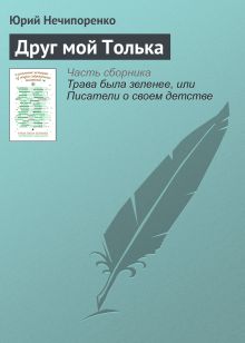 Обложка Друг мой Толька Юрий Нечипуренко