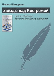 Обложка Звёзды над Костромой Никита Шамордин
