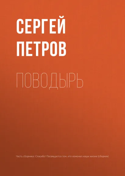 Обложка Поводырь Сергей Петров