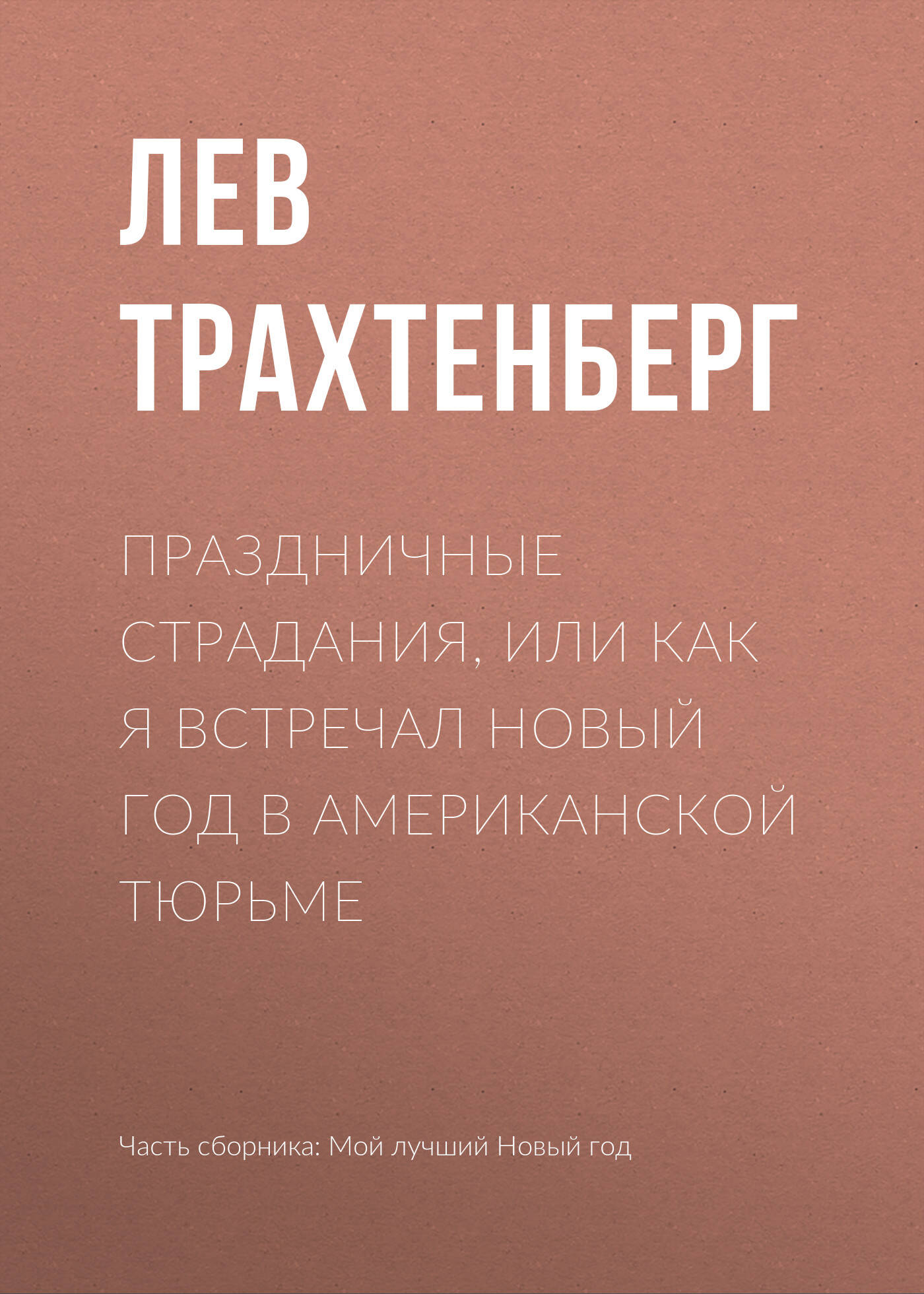 Праздничные страдания, или Как я встречал новый год в американской тюрьме