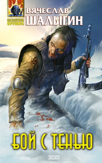 Обложка Бой с тенью Вячеслав Шалыгин