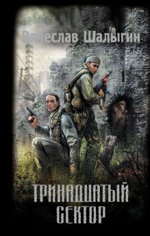 Обложка Тринадцатый сектор Вячеслав Шалыгин