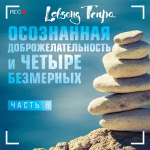 Осознанная доброжелательность и четыре безмерных. Часть 6