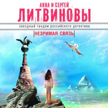 Обложка Незримая связь Анна и Сергей Литвиновы