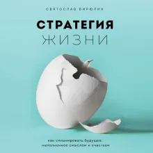 Стратегия жизни. Как спланировать будущее, наполненное смыслом и счастьем