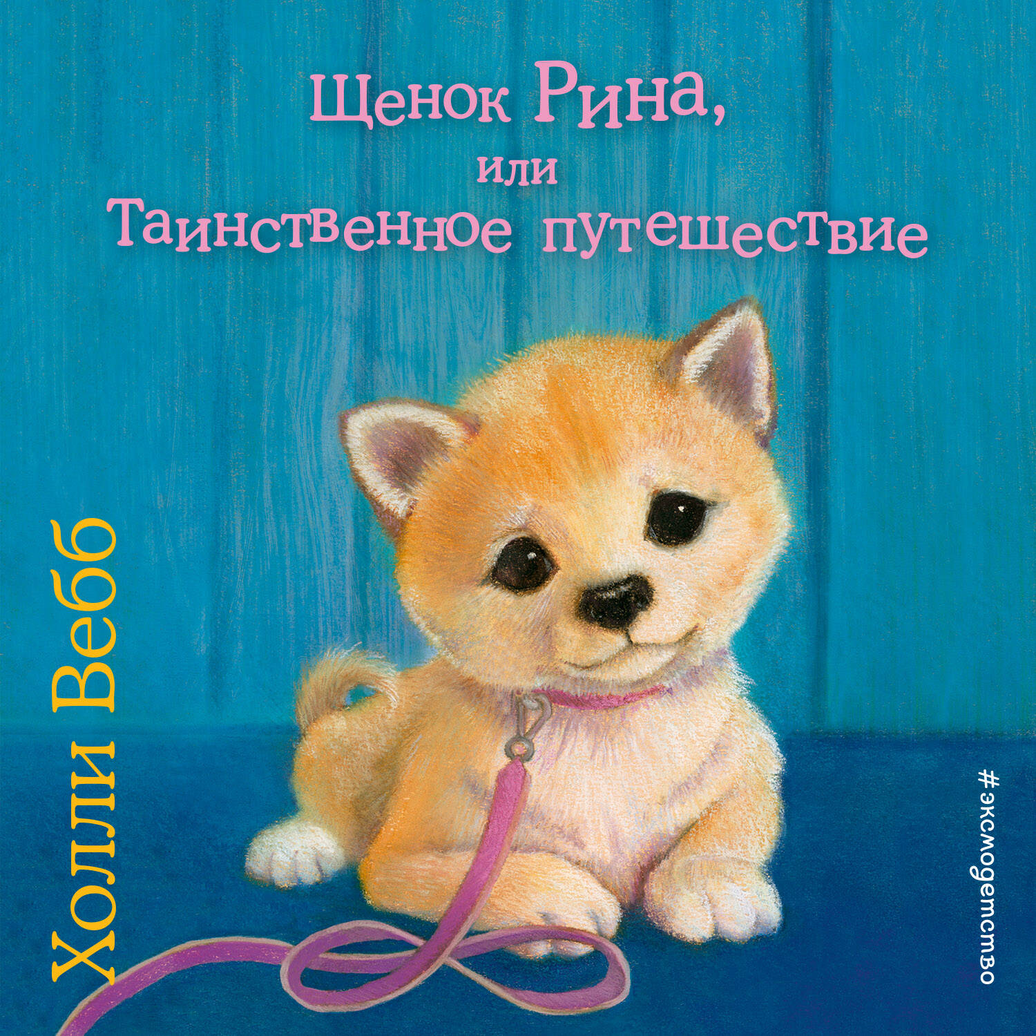 Щенок Рина, или Таинственное путешествие (выпуск 21)