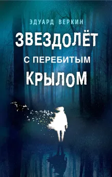 Звездолет с перебитым крылом