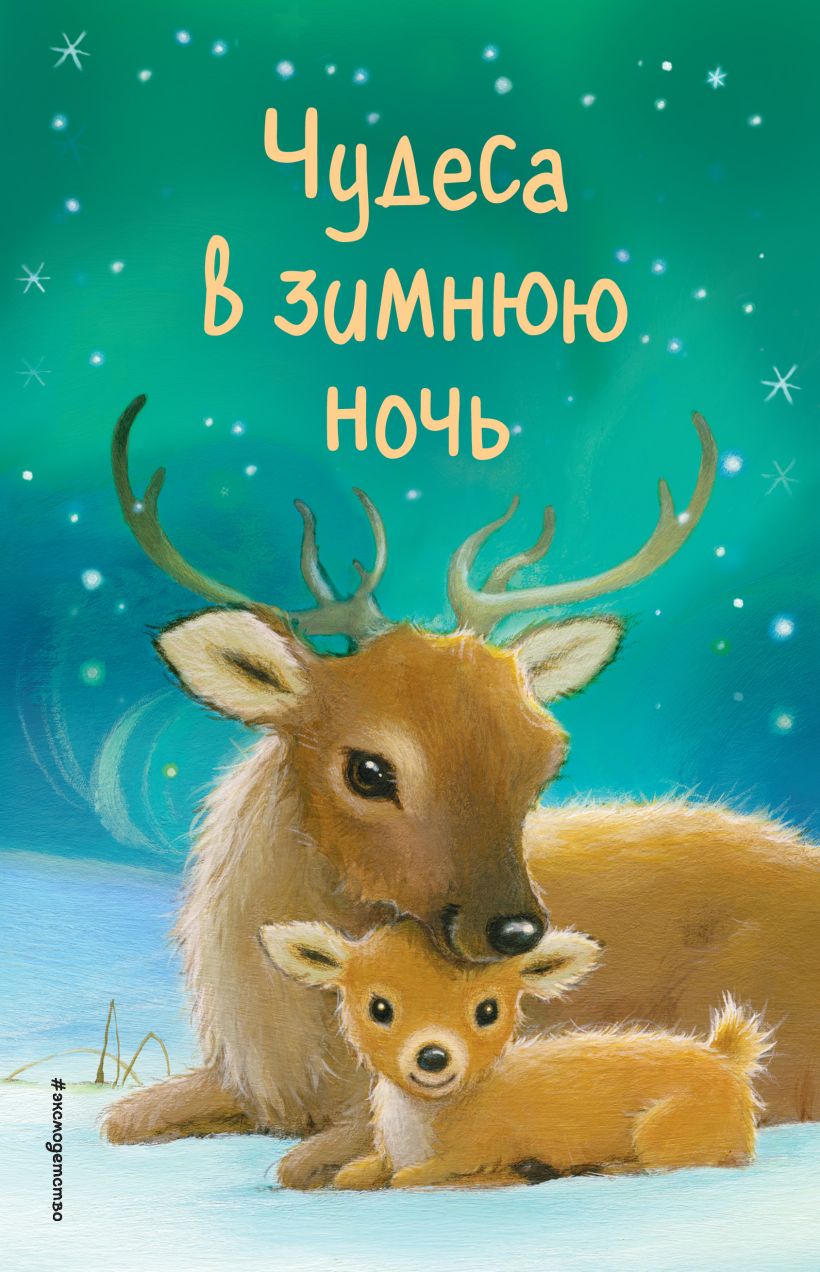 Обложка Чудеса в зимнюю ночь Холли Вебб и др.