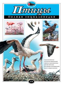 Учимся читать