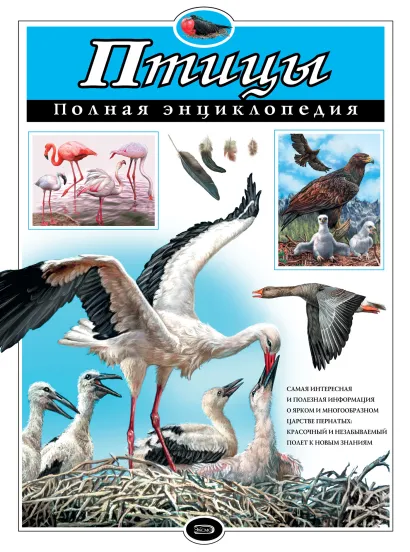 Обложка Птицы. Полная энциклопедия Ю.К. Школьник