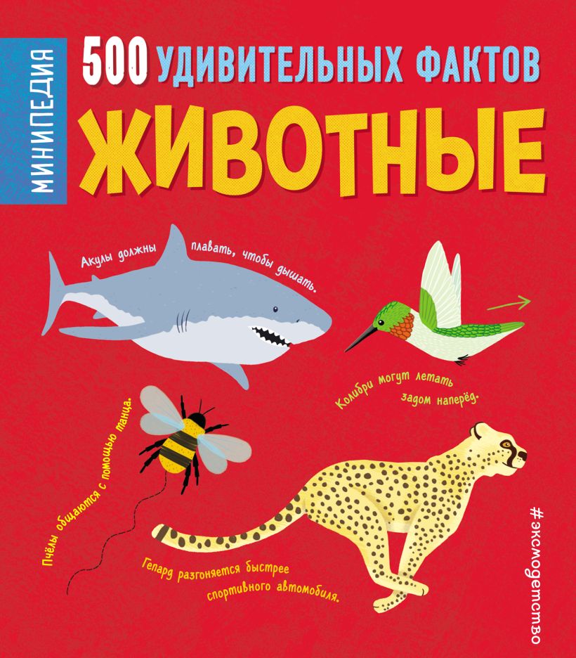 Обложка Животные. 500 удивительных фактов Клэр Хибберт