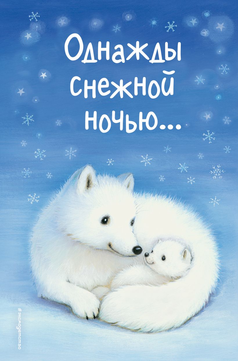 Обложка Однажды снежной ночью... Холли Вебб и др.