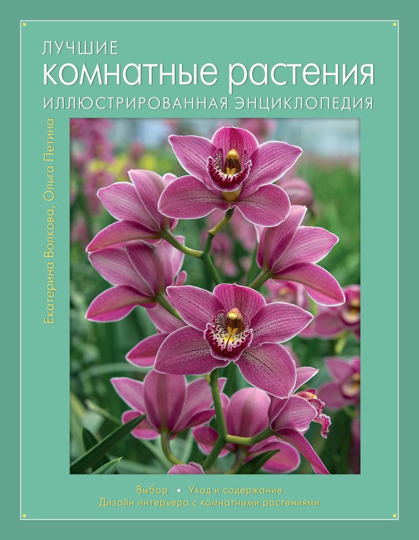 Обложка Лучшие комнатные растения. Иллюстрированная энциклопедия Екатерина Волкова, Ольга Петина