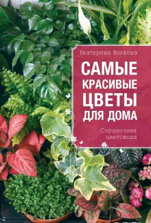 Самые красивые цветы для вашего дома