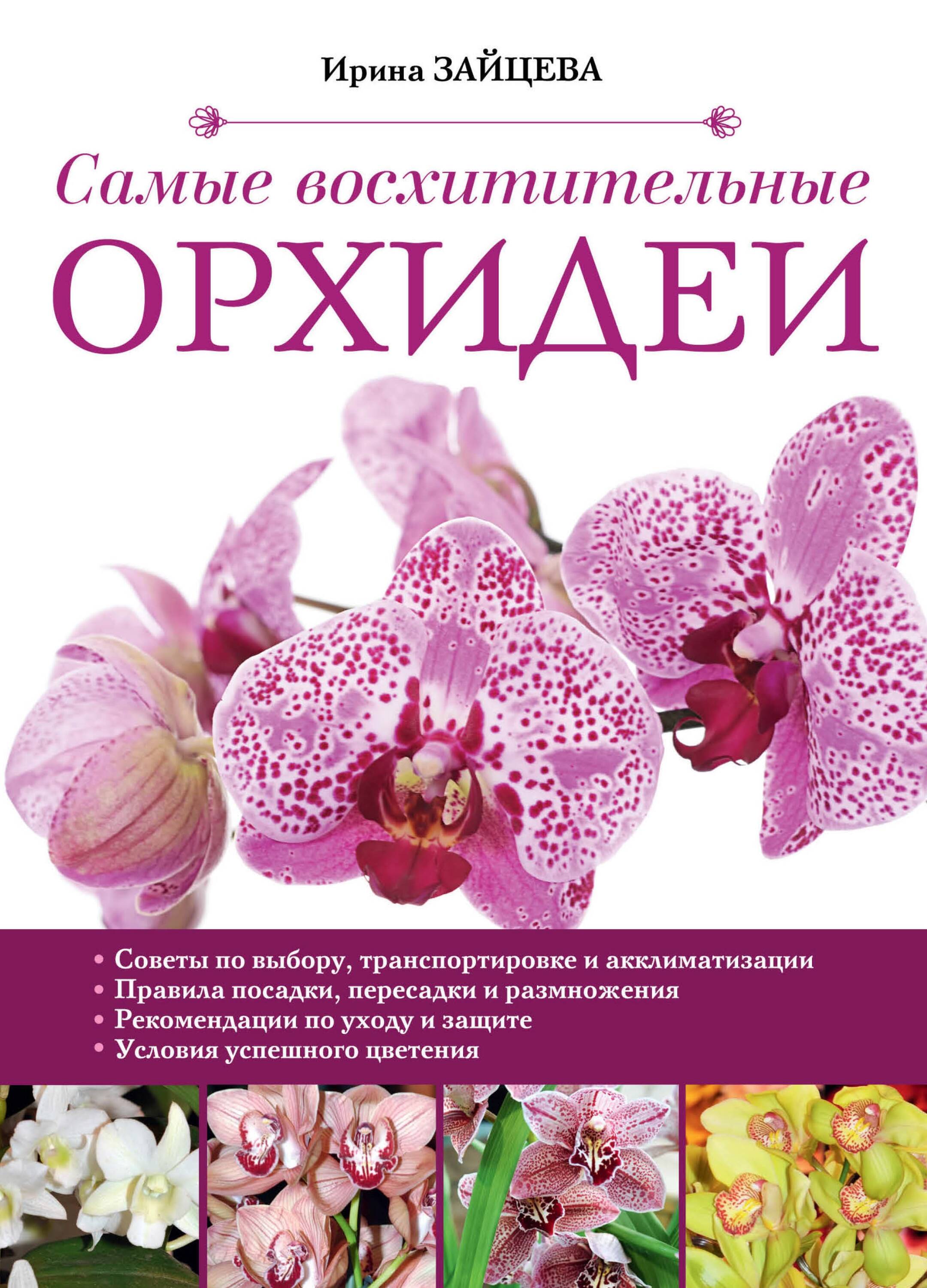 Самые восхитительные орхидеи (Роскошный сад)