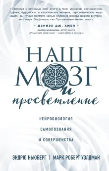 Наш мозг и просветление. Нейробиология самопознания и совершенства
