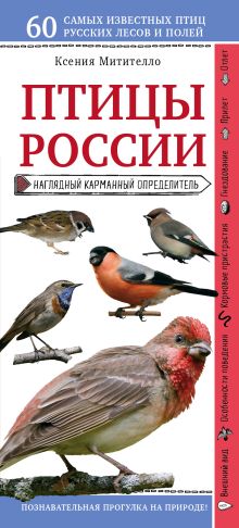 Обложка Птицы России. Наглядный карманный определитель Ксения Митителло
