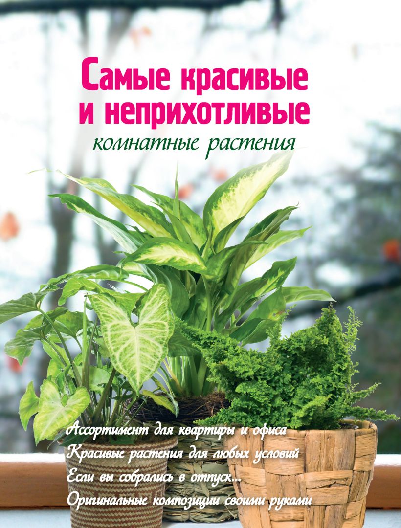 Обложка Самые красивые и неприхотливые комнатные растения (Вырубка. Цветы в саду и на окне (обложка)) Екатерина Волкова